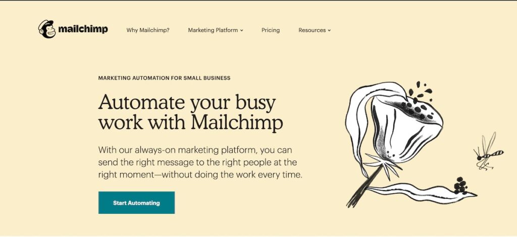 صورة مأخوذة من Mailchimp وهي تدل على شكل صفحة أتمتة التسويق عبر موقعهم